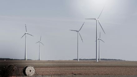 Praxisticker Nr. 18/2024: Brandaktuell: Wegweisendes Urteil im Musterverfahren zur Energiepreispauschale. Was Steuerberaterinnen und Steuerberater jetzt wissen müssen!